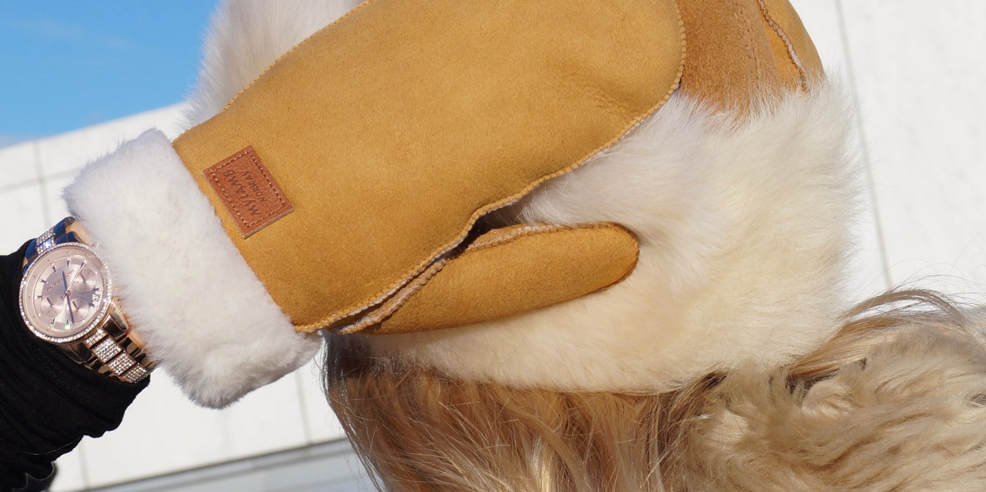 Votter